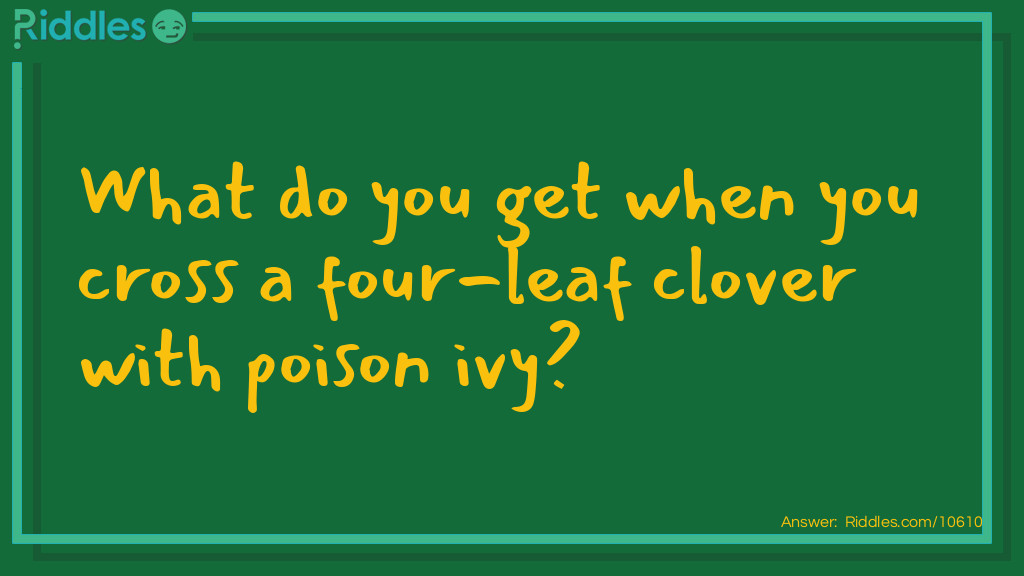 St Patricks Day Riddles: What do you get when you cross a four-leaf clover with poison ivy? Answer: A rash of good luck.