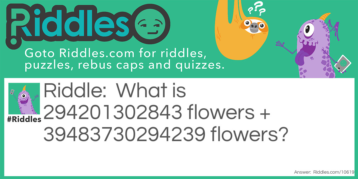 What is 294201302843 flowers + 39483730294239 flowers?