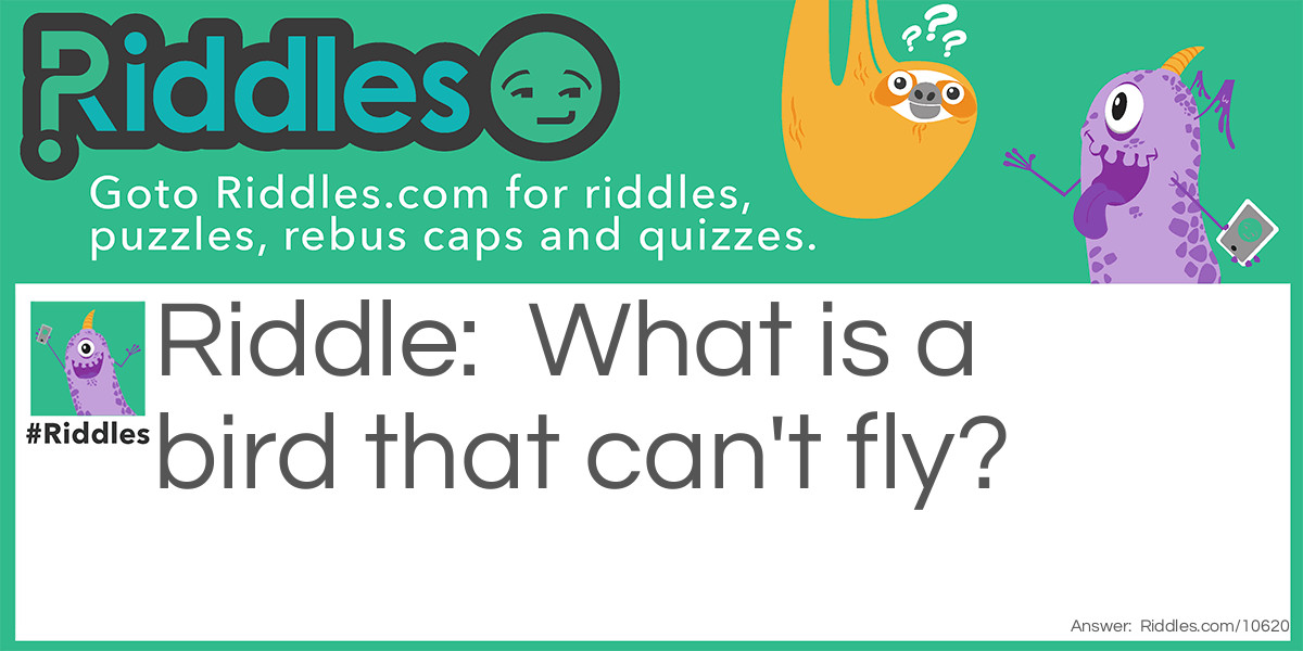 Bird But Cannot Fly!? Riddle Meme.