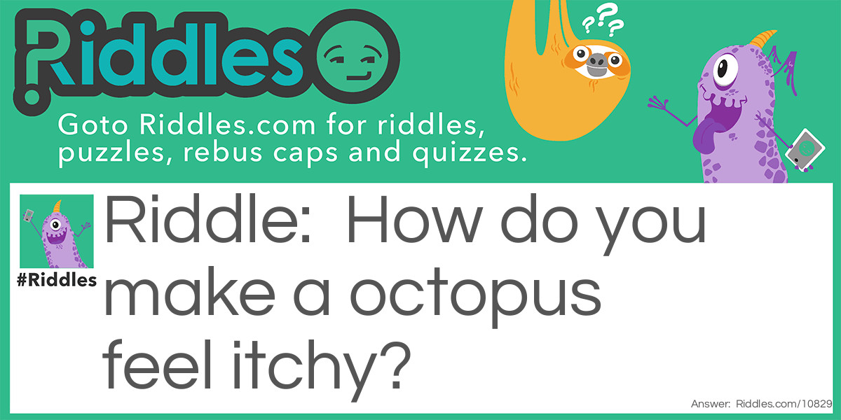 How do you make a octopus feel itchy?