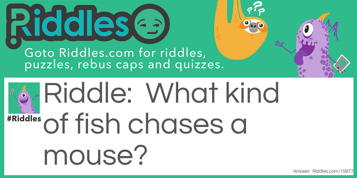 Riddle: What kind of fish chases a mouse? Answer: A catfish!