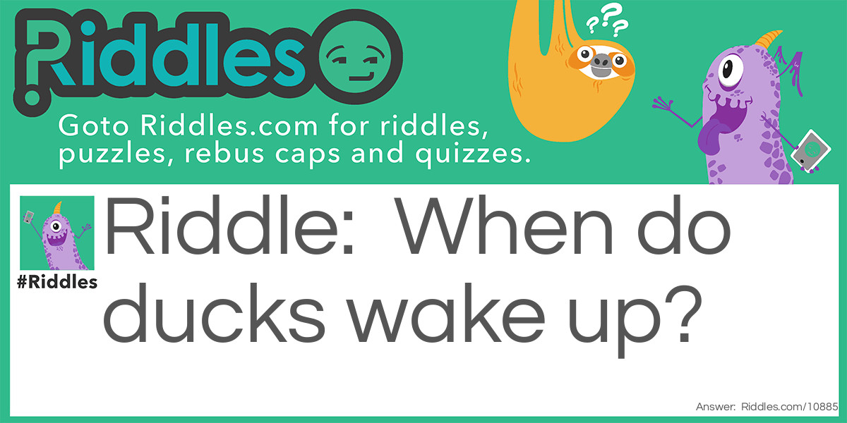 Ducks awake Riddle Meme.