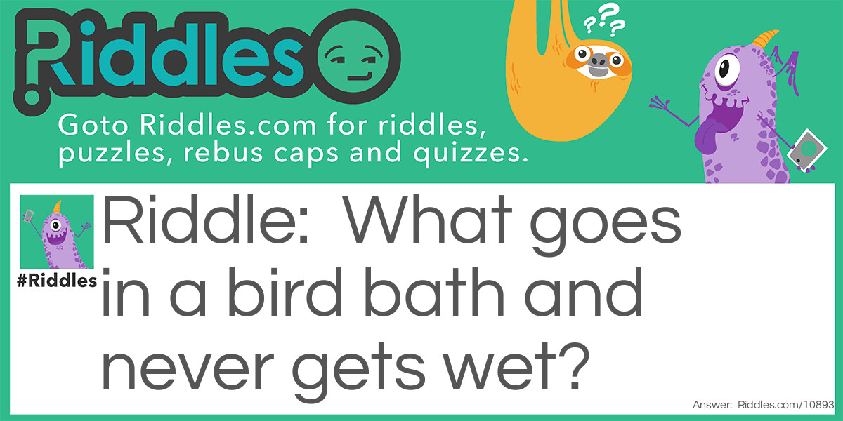 What goes in a bird bath and never gets wet?