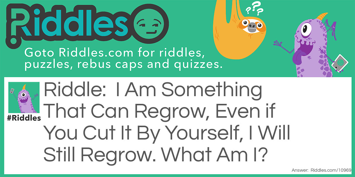 Riddle: I Am Something That Can Regrow, Even if You Cut It By Yourself, I Will Still Regrow. What Am I? Answer: Liver.