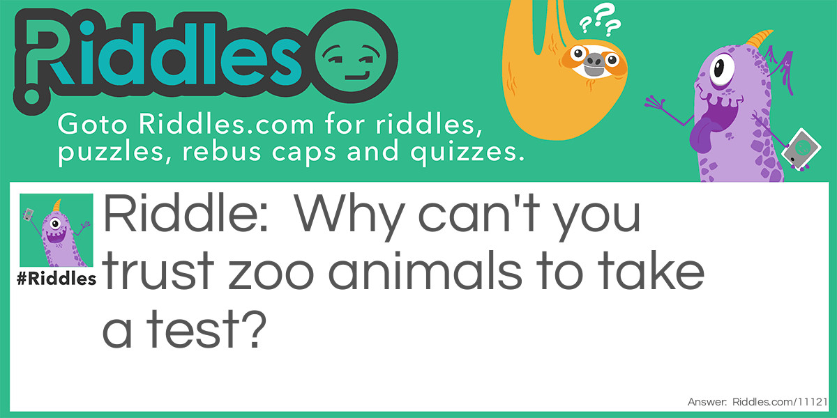 Animals take a test joke Riddle Meme.