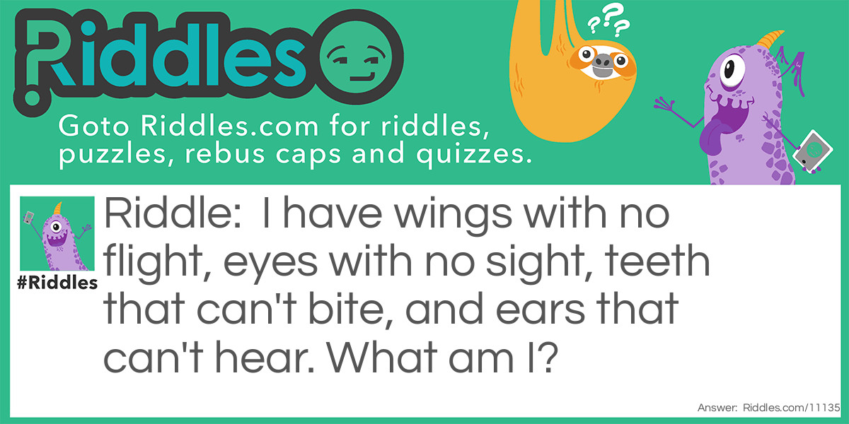 I have wings with no flight, eyes with no sight, teeth that can't bite, and ears that can't hear. What am I?