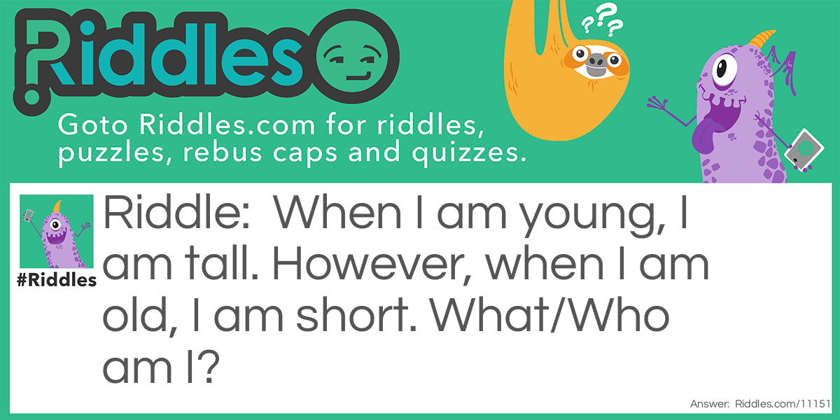 When I am young, I am tall. However, when I am old, I am short. What/Who am I?