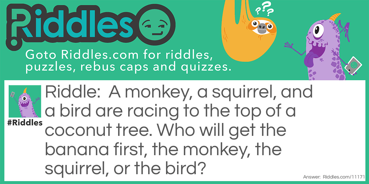 A monkey, a squirrel, and a bird are racing to the top of a coconut tree. Who will get the banana first, the monkey, the squirrel, or the bird?