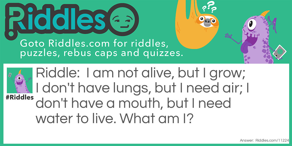 Riddle: I am not alive, but I grow; I don't have lungs, but I need air; I don't have a mouth, but I need water to live. What am I? Answer: I am an AI language model designed to answer questions and provide information on a wide range of topics.