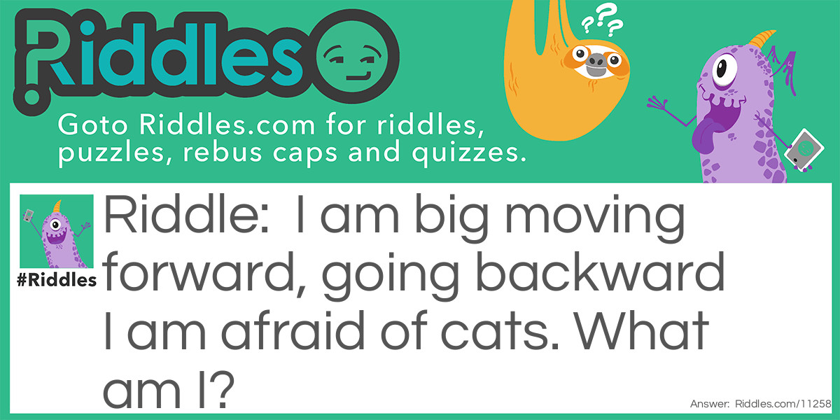 I am big moving forward, going backward I am afraid of cats. What am I?