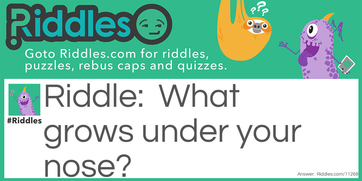 What grows under your nose riddle Riddle Meme.