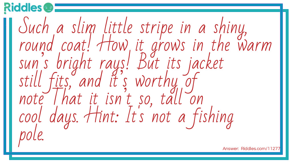 Such a slim little stripe in a shiny, round coat! How it grows in the warm sun's bright rays! But its jacket still fits, and it's worthy of note That it isn't so, tall on cool days. Hint: It's not a fishing pole.