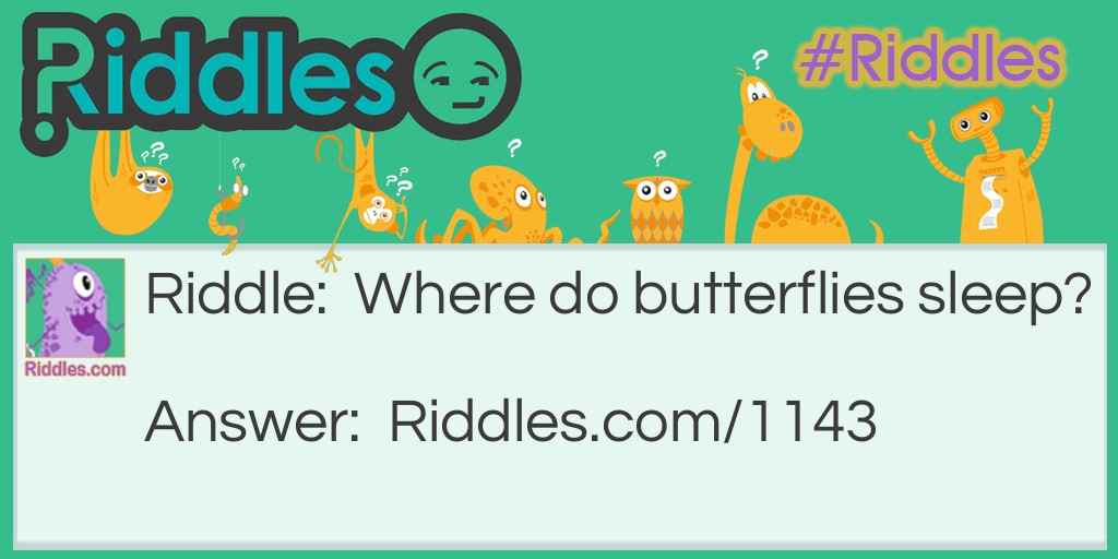 Where do butterflies sleep? Riddle Meme.