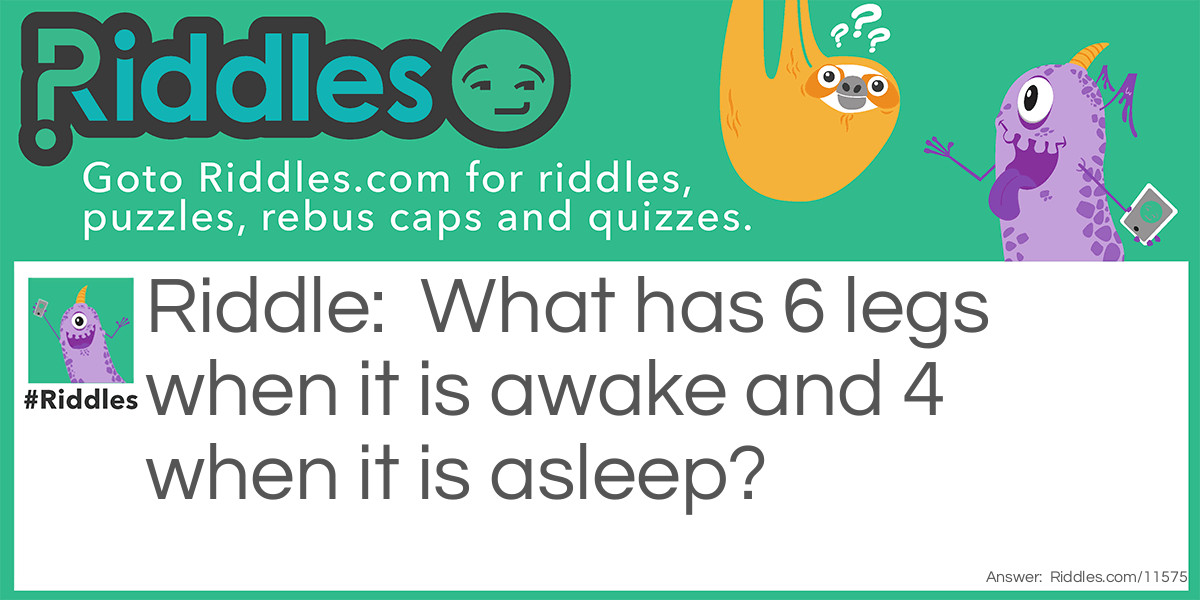 What has 6 legs when it is awake and 4 when it is asleep?