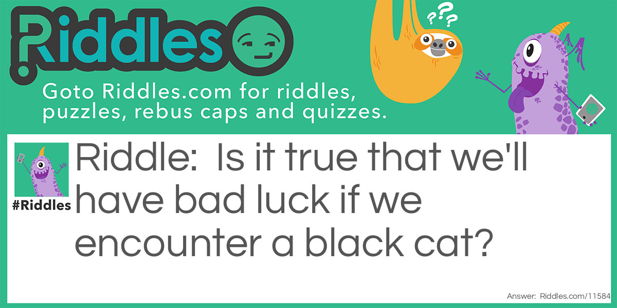 Is it true that we'll have bad luck if we encounter a black cat?