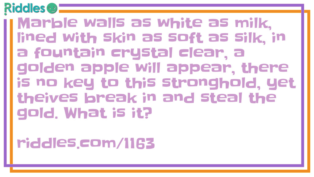 Riddle: Marble walls as white as milk, lined with skin as soft as silk, in a fountain crystal clear, a golden apple will appear, there is no key to this stronghold, yet theives break in and steal the gold. What is it? Answer: An egg.