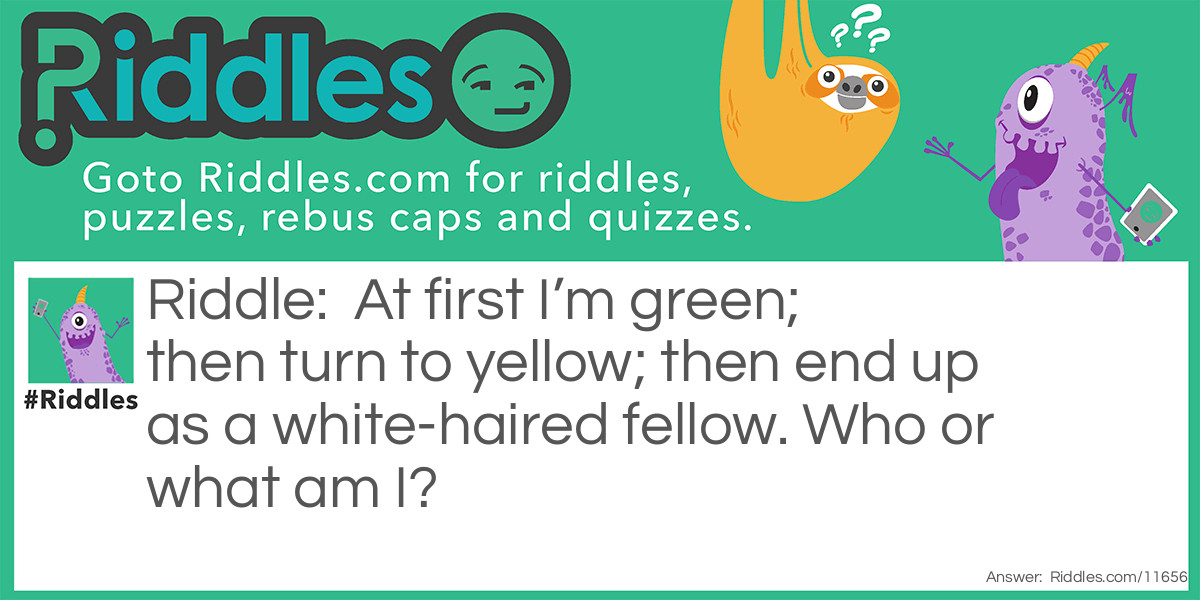 Life Cycle Riddle Meme.