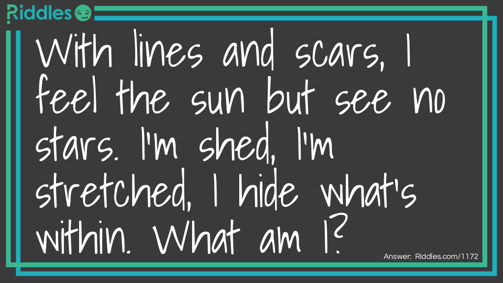 With lines and scars, I feel the sun but see no stars. I'm shed, I'm stretched, I hide what's within. What am I?