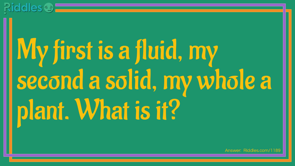 My first is a fluid, my second a solid, my whole a plant. What is it? Riddle Meme.
