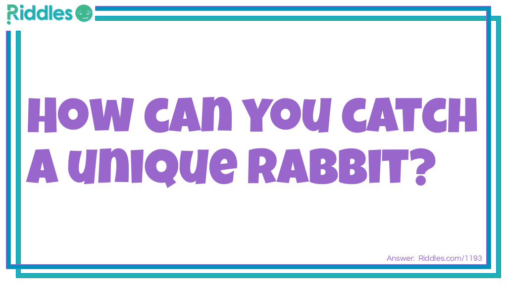 How can you catch a unique rabbit?