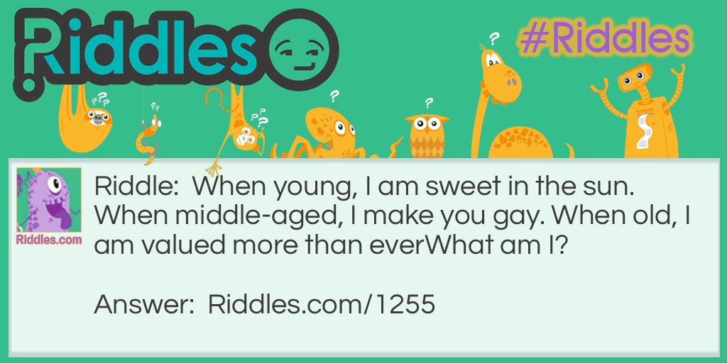 When young, I am sweet in the sun. When middle-aged, I make you gay. When old, I am valued more than ever
What am I?