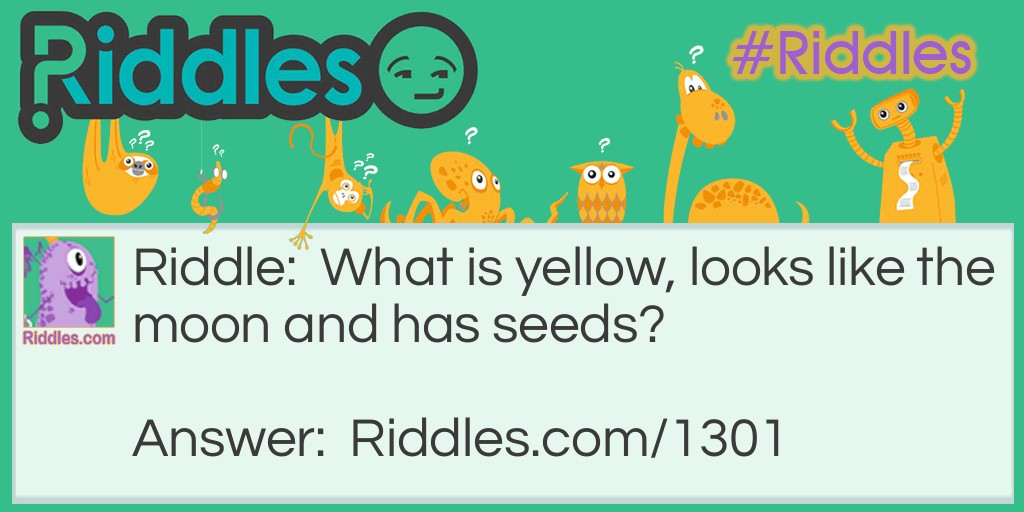 What is yellow, looks like the moon and has seeds?