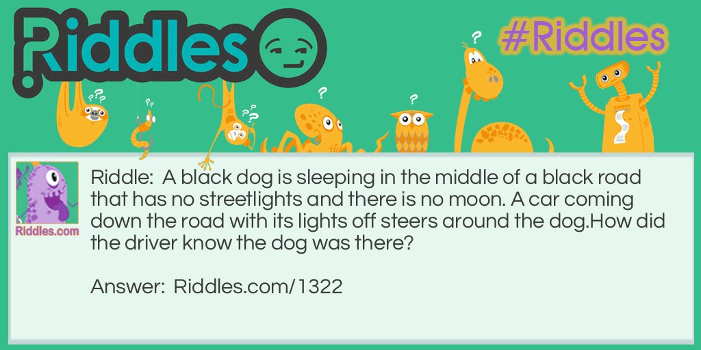 A black dog is sleeping in the middle of a black road that has no streetlights and there is no moon. A car coming down the road with its lights off steers around the dog.
How did the driver know the dog was there?