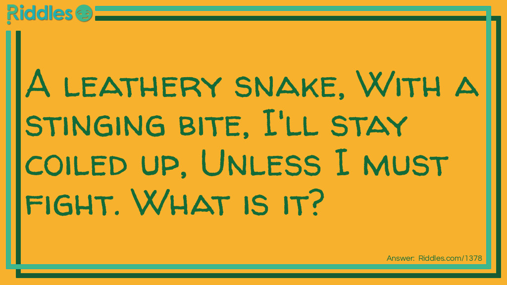 A leathery snake, With a stinging bite, I'll stay coiled up, Unless I must fight. What am I?