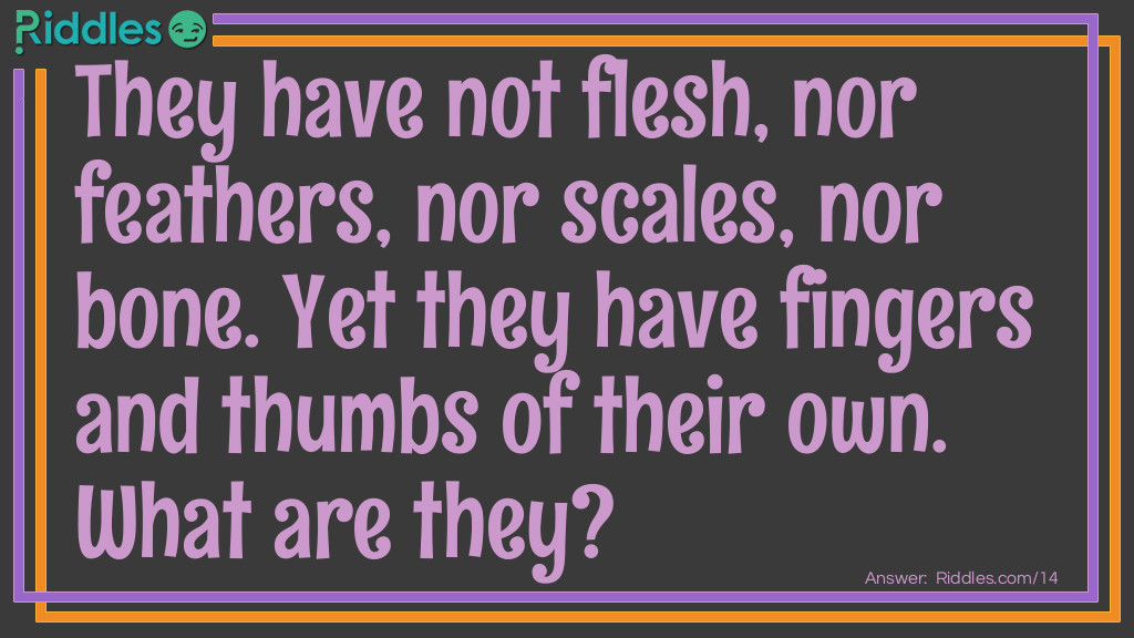 They have not flesh, nor feathers, nor scales, nor bone. Yet they have fingers and thumbs of their own. What are they?