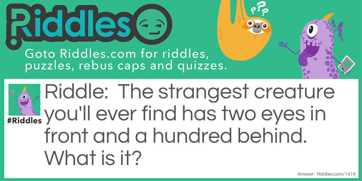 The strangest creature you'll ever find has two eyes in front and a hundred behind. What is it?