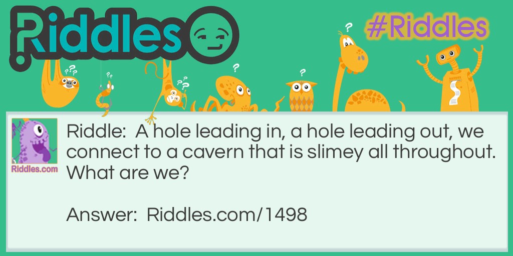 Riddle: A hole leading in, a hole leading out, we connect to a cavern that is slimey all throughout.
What are we? Answer: Your nose.