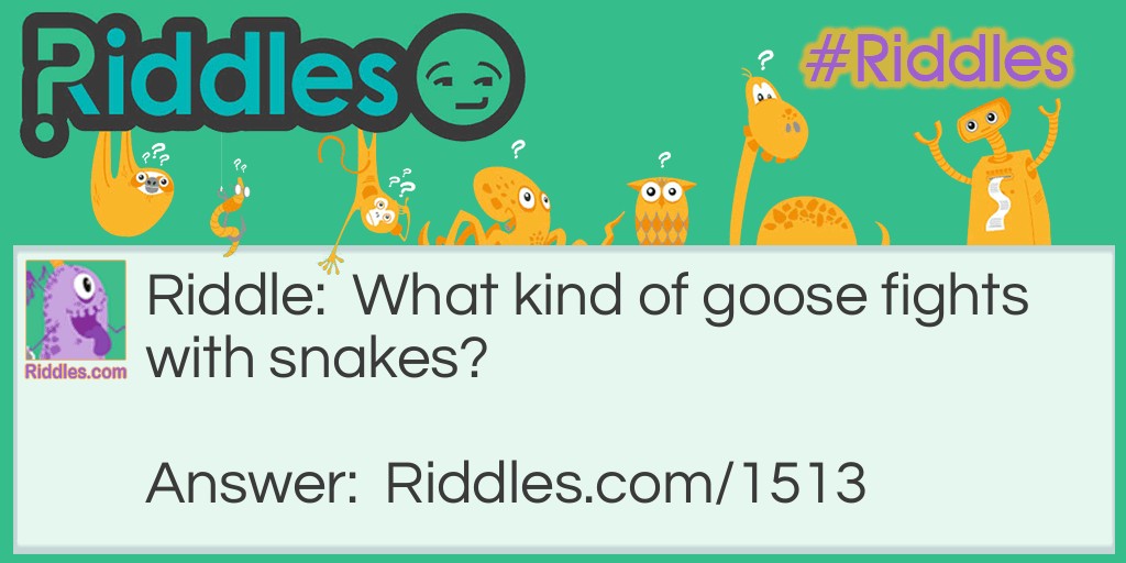 Riddle: What kind of goose fights with snakes? Answer: A mongoose.