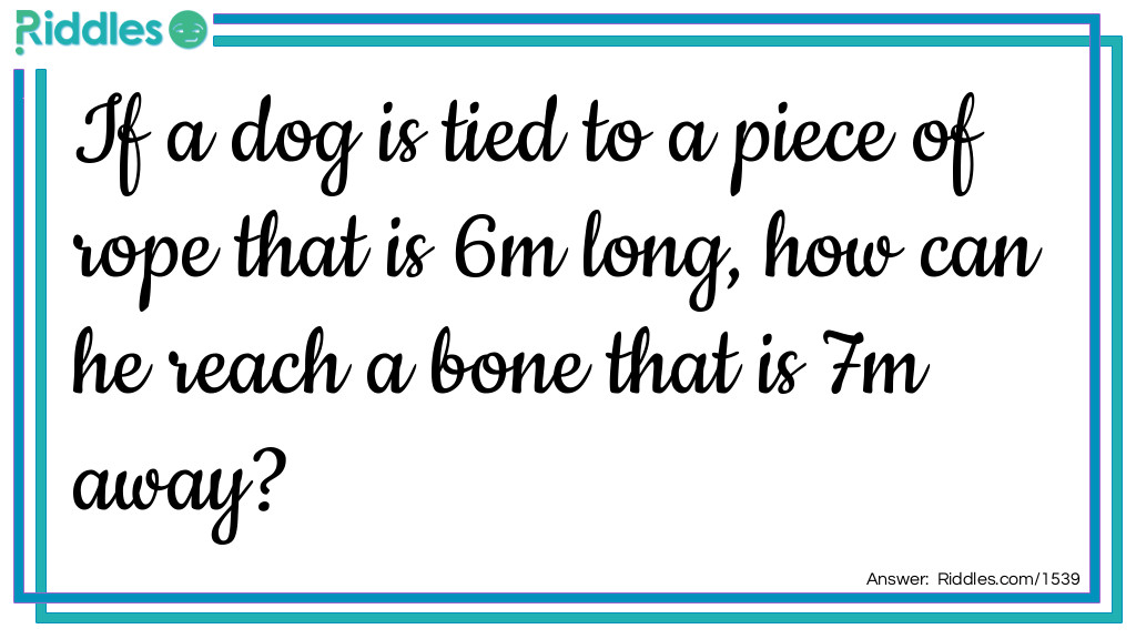 Classic Riddles: If a dog is tied to a piece of rope that is 6m long, how can he reach a bone that is 7m away? Riddle Meme.