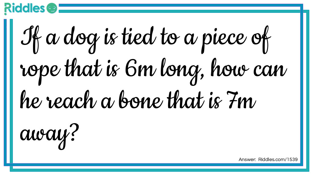 If a dog is tied to a piece of rope that is 6m long, how can he reach a bone that is 7m away?