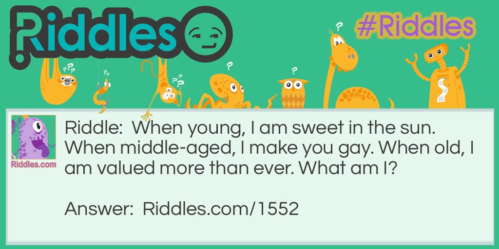 When young, I am sweet in the sun. When middle-aged, I make you gay. When old, I am valued more than ever. What am I?