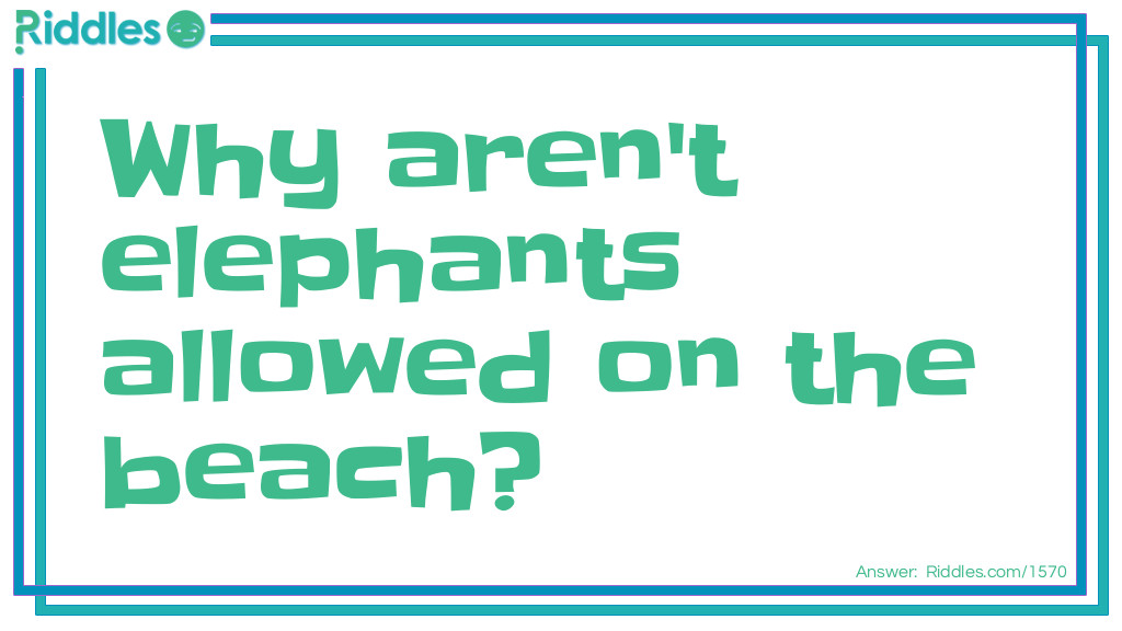 Click to see riddle Elephants Beach Wear answer.