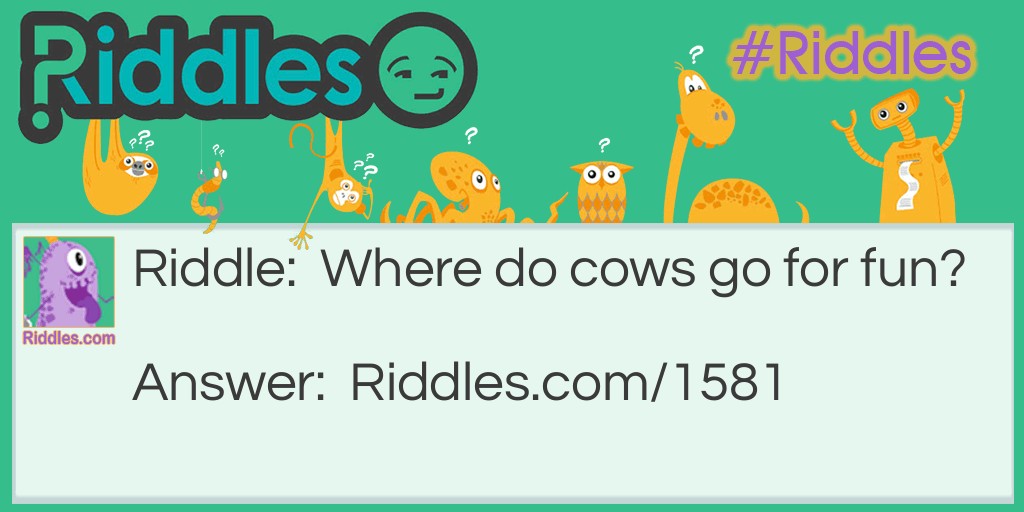 Where do cows go for fun? Riddle Meme.