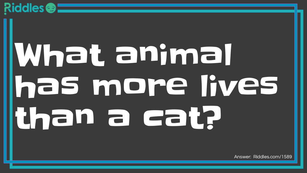 Riddle: What animal has more lives than a cat? Answer: A frog, it croaks every night!