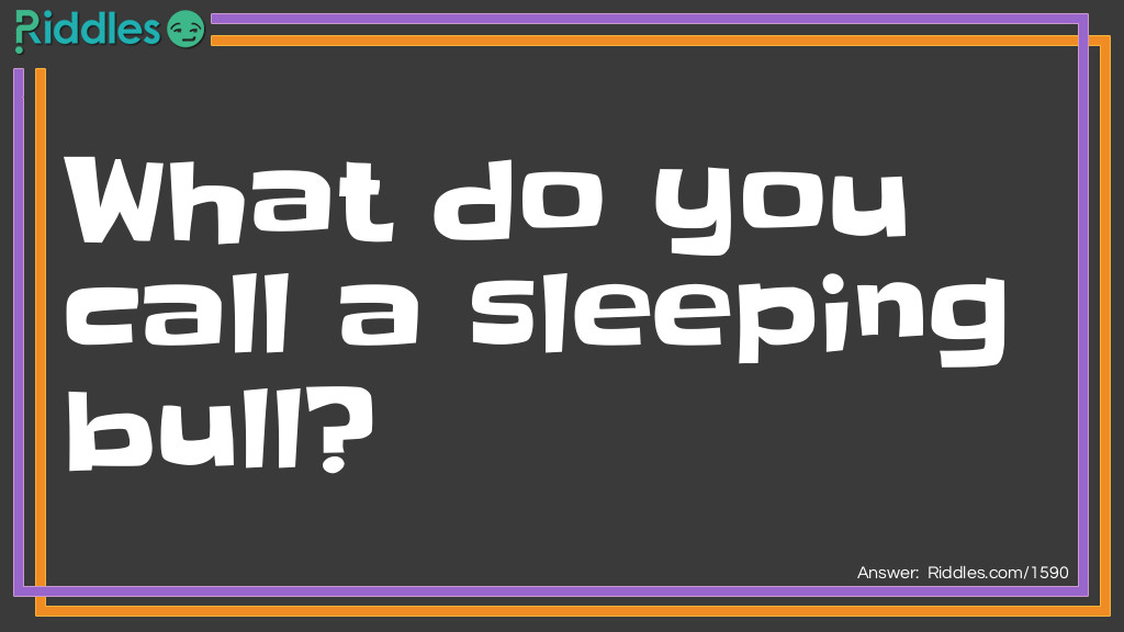 Riddle: What do you call a sleeping bull? Answer: A bulldozer!