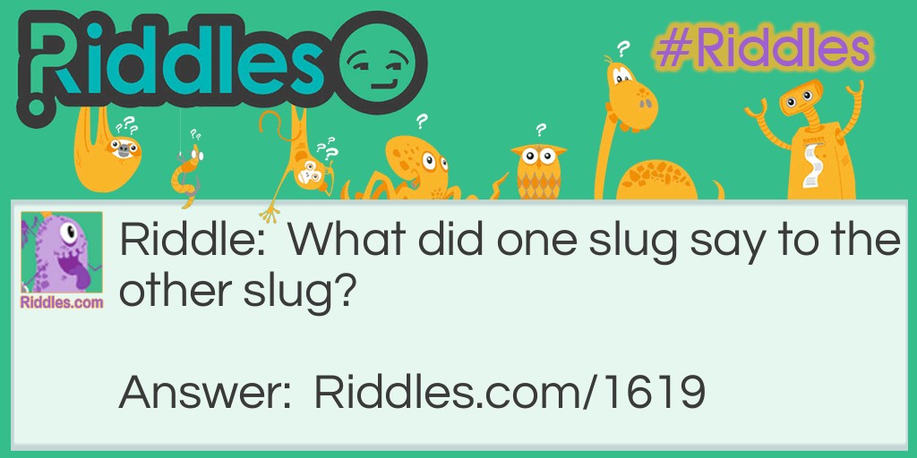 What did one slug say to the other slug?