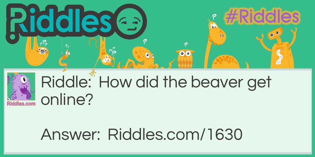 How did the beaver get online... Riddle Meme.
