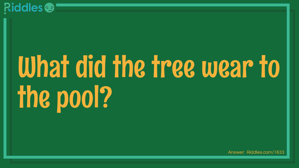 What did the tree wear to the pool riddle Riddle Meme.