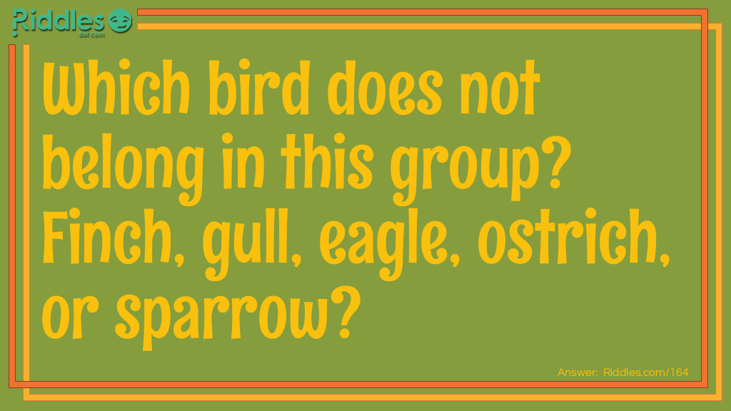 Riddle: Which bird does not belong in this group? Finch, gull, eagle, ostrich, or sparrow? Answer: The Ostrich. It's the only bird that doesn't fly.