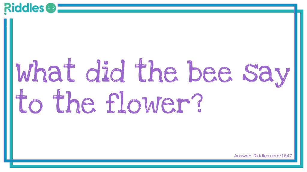 Riddle: What did the bee say to the flower? Answer: Hello, honey!