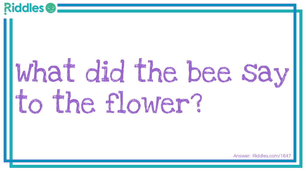 What did the bee say to the flower Riddle Meme.