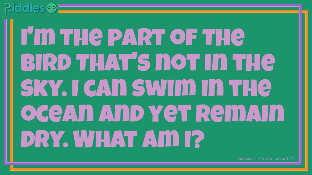 I'm the part of the bird that's not in the sky. I can swim in the ocean and yet remain dry. What am I?