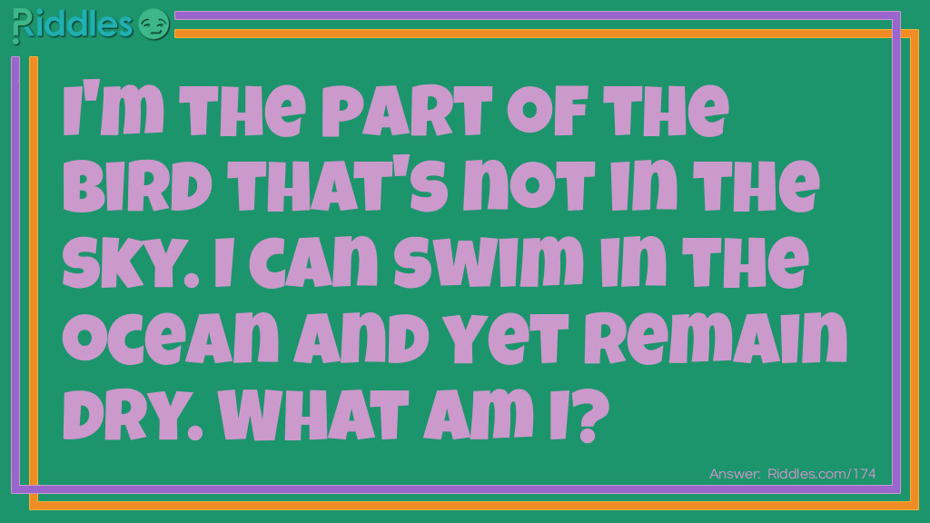 Click to see riddle I'm the part of the bird that's not in the sky riddle answer.