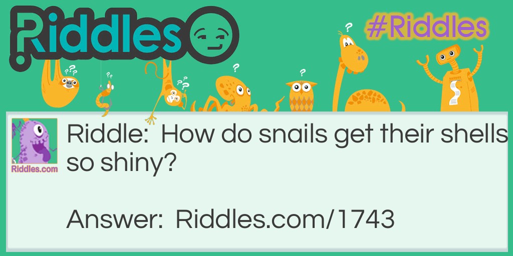 Riddle: How do snails get their shells so shiny? Answer: They use snail polish.