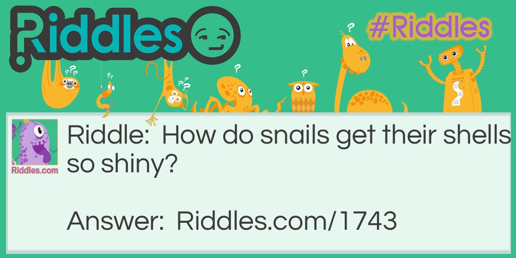 Snail Shine Their Shells Riddle Riddle Meme.