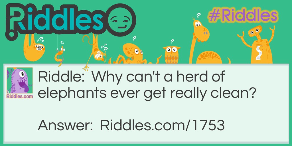Riddle: Why can't a herd of elephants ever get really clean? Answer: Because they can't take off their trunks.